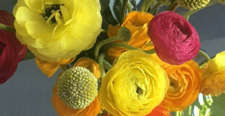 Could February Showers Bring a Super Bloom of Flowers?